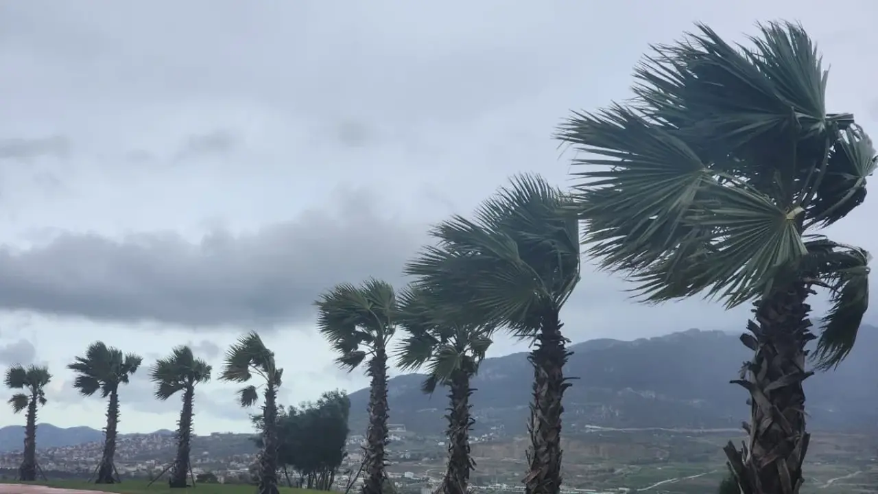 تحذير رسمي.. أمطار تصل إلى 90 ملم تضرب عدة مناطق خلال ساعات